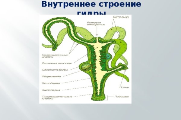 Актуальная ссылка на кракен