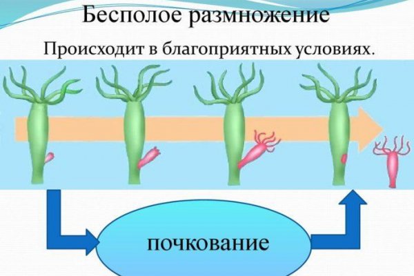 Ссылка на кракен официальный сайт