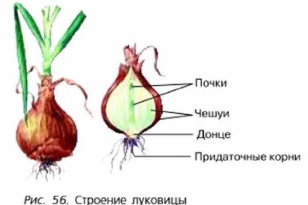 Tor зеркала